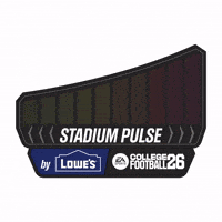 Video Game Football GIF by Lowe's Home Improvement