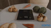 Fitness Health GIF by RENPHO