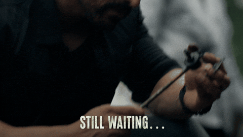 Independence Day Waiting GIF by ZEE5