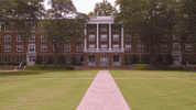 lu lancer GIF by Longwood University