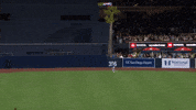 Tampa Bay Rays Sport GIF by MLB