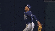 Tampa Bay Rays Sport GIF by MLB