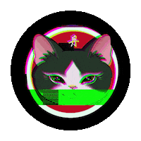 Cat Glitch Sticker