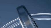 CREATIVEAPPEALMEDIA creativeappealmedia GIF