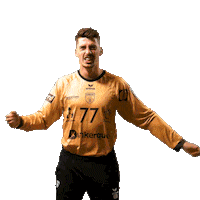 Celebration Handball Sticker by USDK