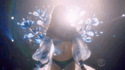 vsfs 2017 GIF by Victoria's Secret Fashion Show