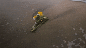 North Carolina Beach GIF by MaRynn Taylor