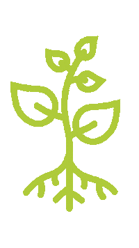 Growth Inspire Sticker by virtual7
