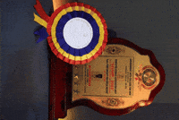 White Hat Hacker GIF by karthikeyan V