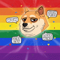 Shiba Inu Wow GIF by Doge Pound