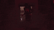Celebrate University Of Louisville GIF by Louisville Cardinals