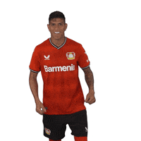 Awesome Goal GIF by Bayer 04 Leverkusen