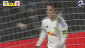 Leeds United Football GIF