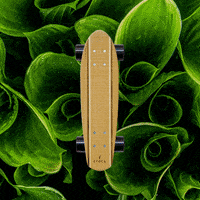 Epoca_Design  GIF