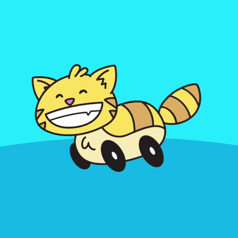 Road Trip Cat GIF by Pingolito