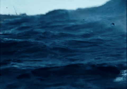 paula_arantzazu_ruiz giphyupload GIF