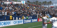 robbie keane celebration GIF by LA Galaxy