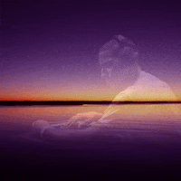 Water Sea GIF by Nova Sound