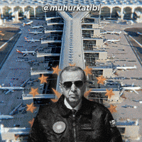 Recep Tayyip Erdogan Politics GIF
