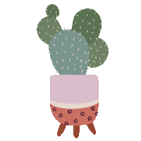 Plant Cactus Sticker