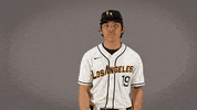 Cal State La Baseball GIF by Cal State LA Golden Eagles