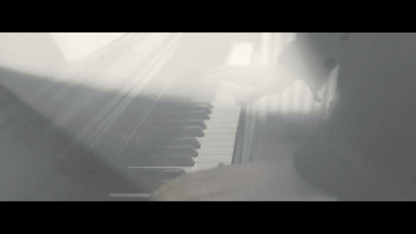 Sub Pop GIF by Sub Pop Records