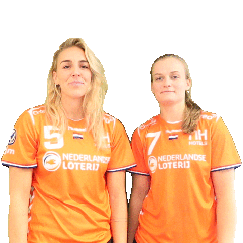 Handball Sticker by NHV