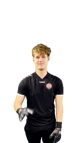 Mvv27 Yari Sticker by MVV'27