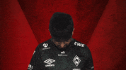 Werder Predator GIF by Bundesliga