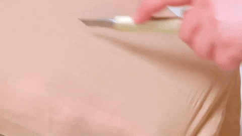 giphy.gif