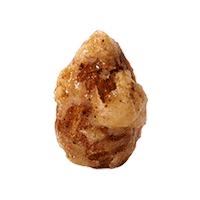 NuttyNutsNuttyNuts 堅果 腰果 風味腰果 杏仁果 Sticker