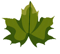 South Carolina Fall Sticker by University of South Carolina