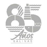 Salinasec Sticker by Alcaldía Salinas