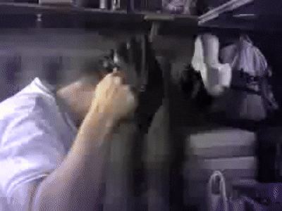rollonfriday giphyupload GIF