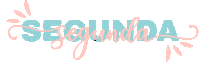brilistudio monday lettering planner segunda Sticker