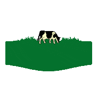 Cheese Love Sticker by Kerrygold USA