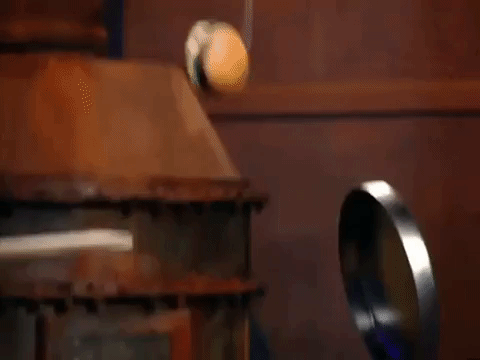 season 5 GIF by SpongeBob SquarePants