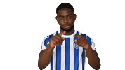 Home Bundesliga Sticker by Hertha BSC