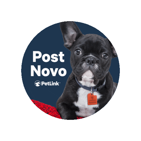 Post Novo Identificação Sticker by Datamars Livestock