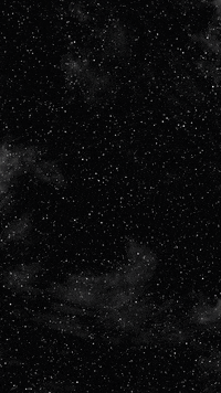 bulkfestival bulk bulkfestival bulk festival GIF