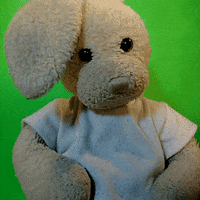 bunny dancing GIF by Zackary Rabbit