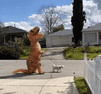 GIF by Century 21 Lois Lauer