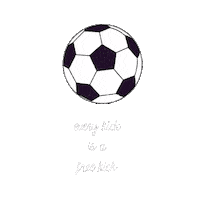 efekaradagli fight game football sport Sticker