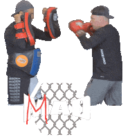 Punching Gloves Sticker by MMADen