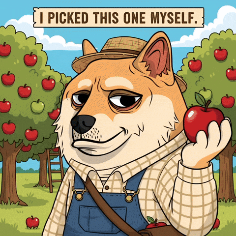 Proud Shiba Inu GIF by Doge Pound