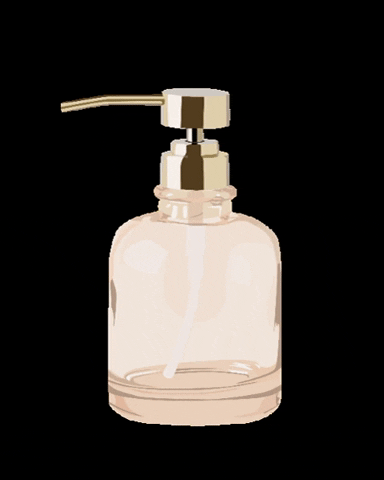 skyecamryndesigns giphygifmaker coronavirus corona clean GIF