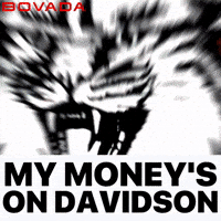 Davidson College Wildcats GIF by Bovada