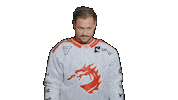 Trinec Sticker by HC Oceláři Třinec