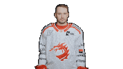 Trinec Sticker by HC Oceláři Třinec