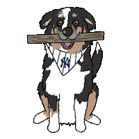 Dog Pets Sticker